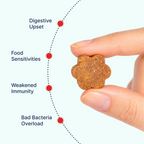 Probiotics for Dogs