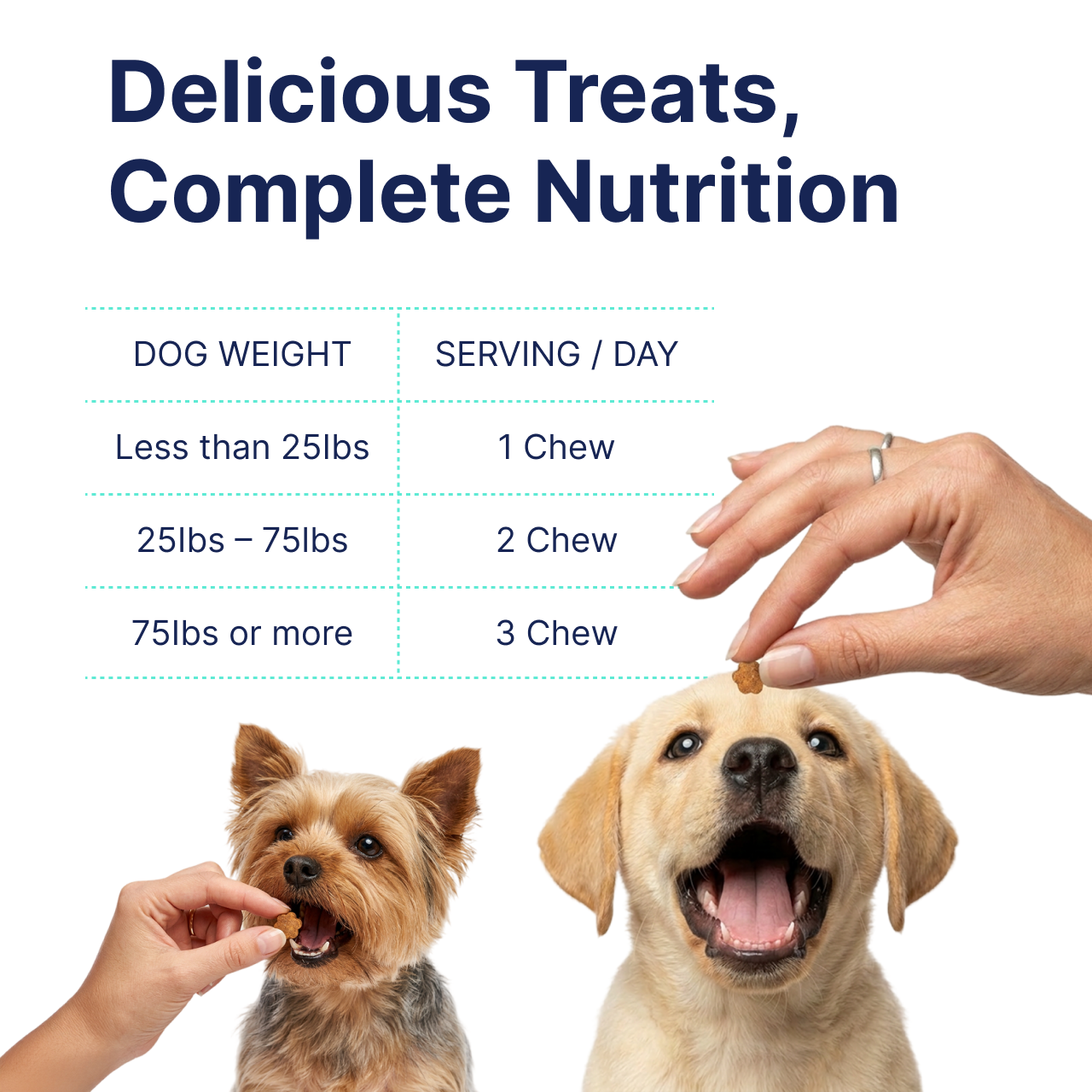 Probiotics for Dogs