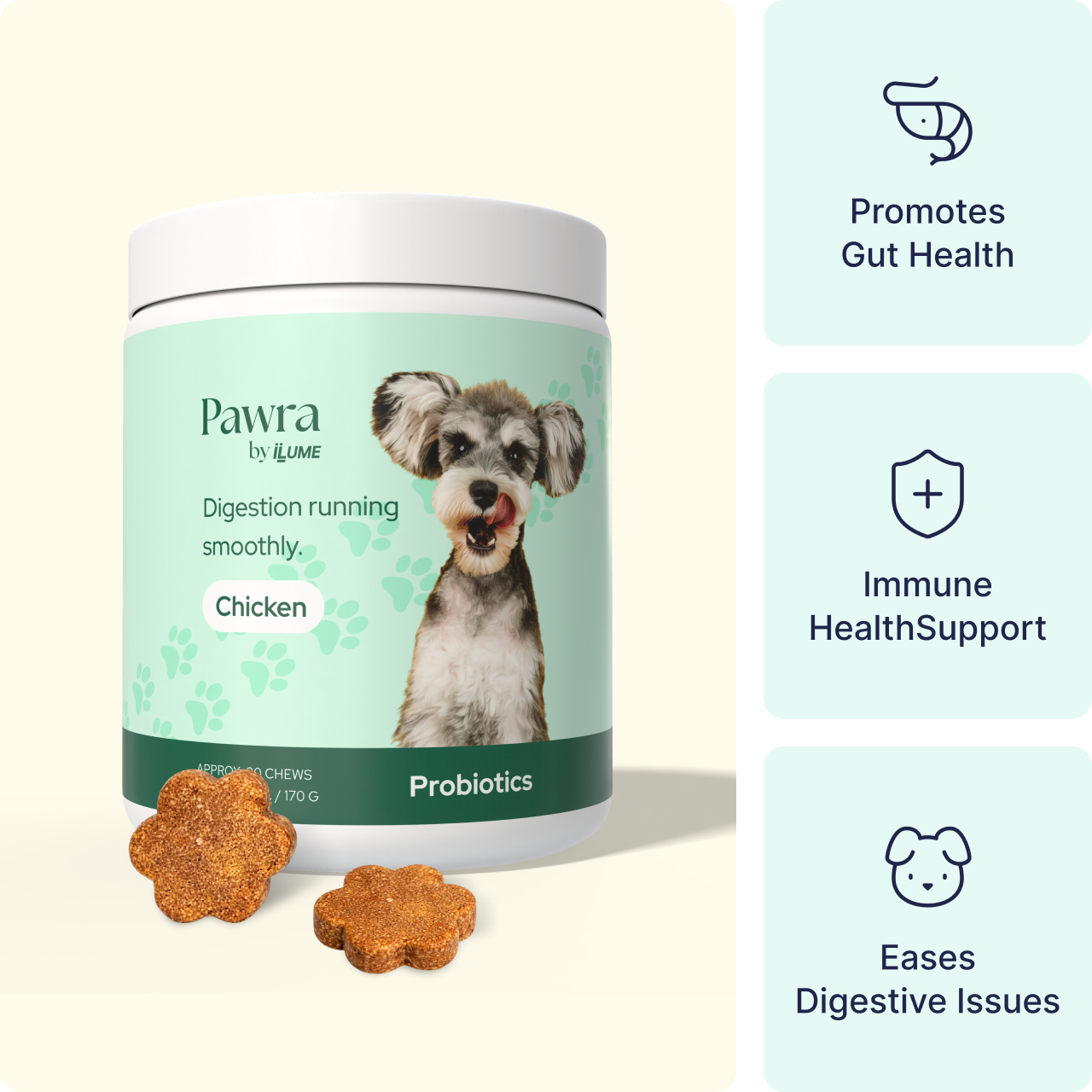 Probiotics for Dogs