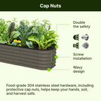 Raised Garden Beds