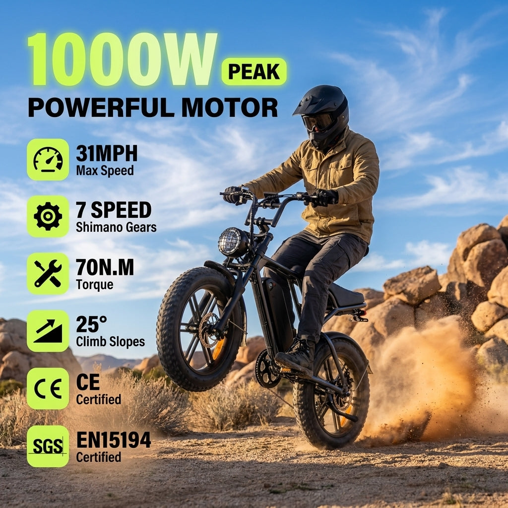 Electric Bike