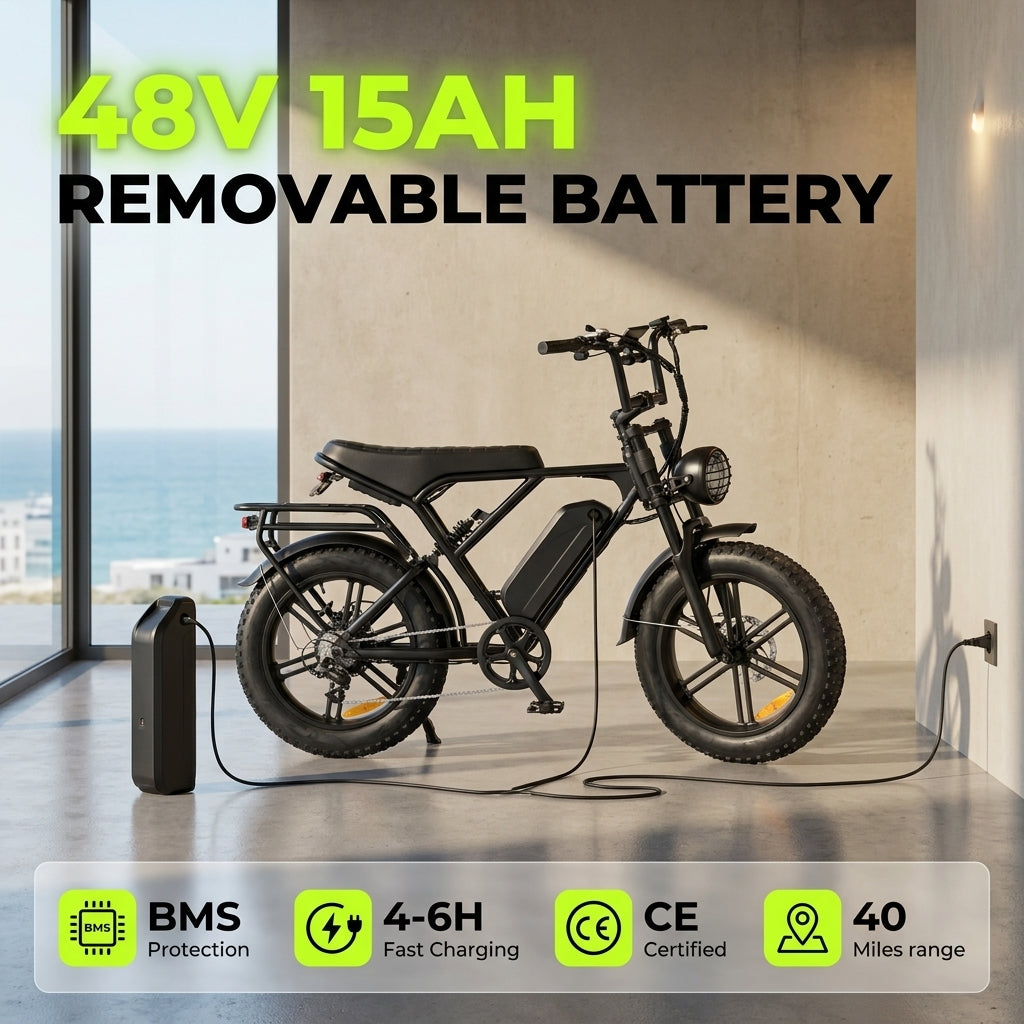 Electric Bike