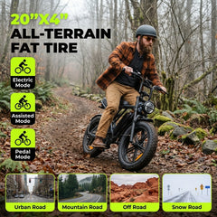 Electric Bike