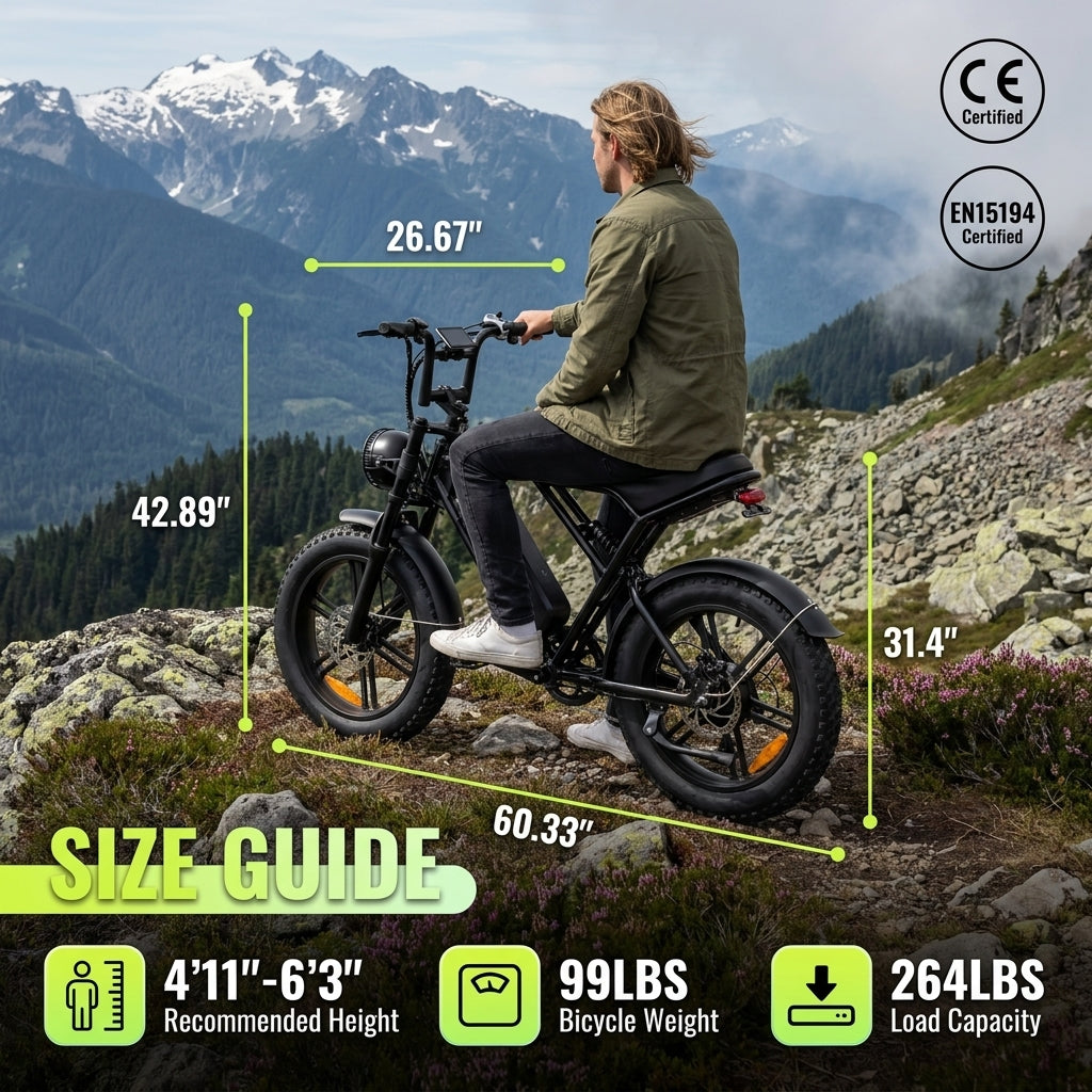 Electric Bike