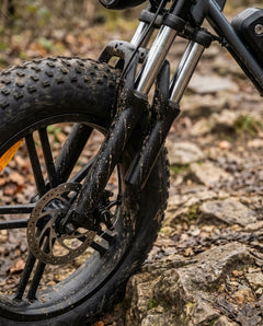 Electric Bike